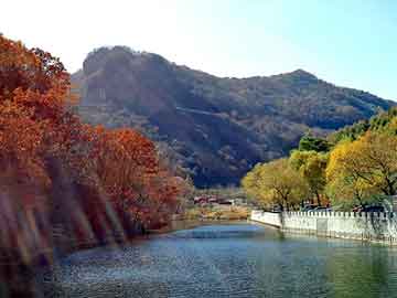 管家婆黑白马报图库，石蜡